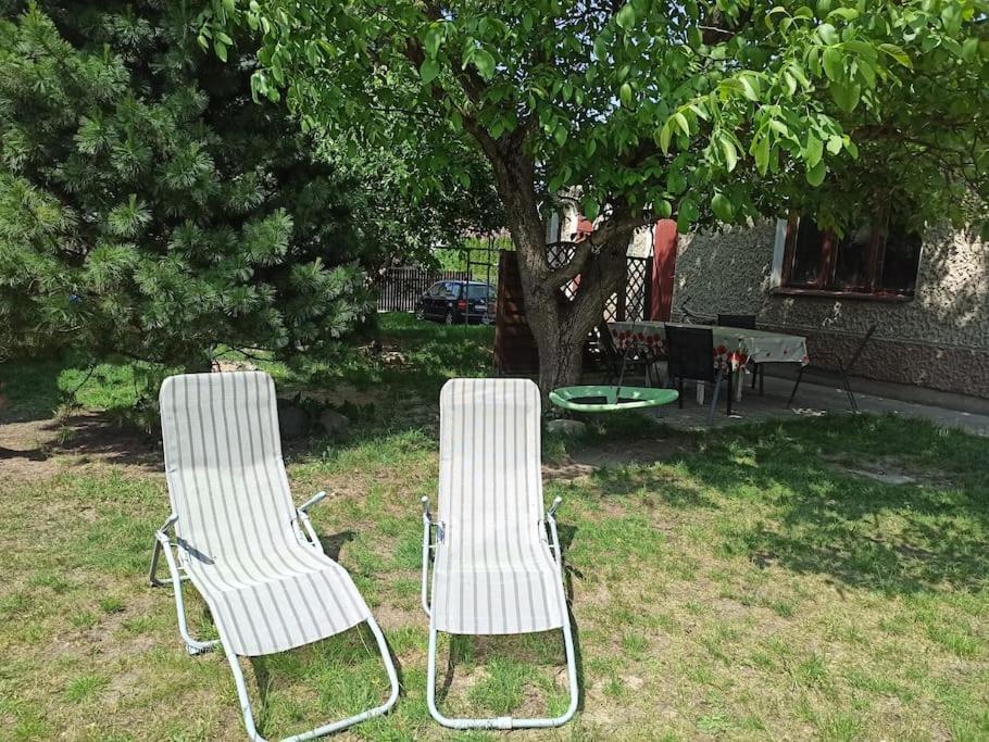 Apartament Pod Orzechem Augustów Dış mekan fotoğraf